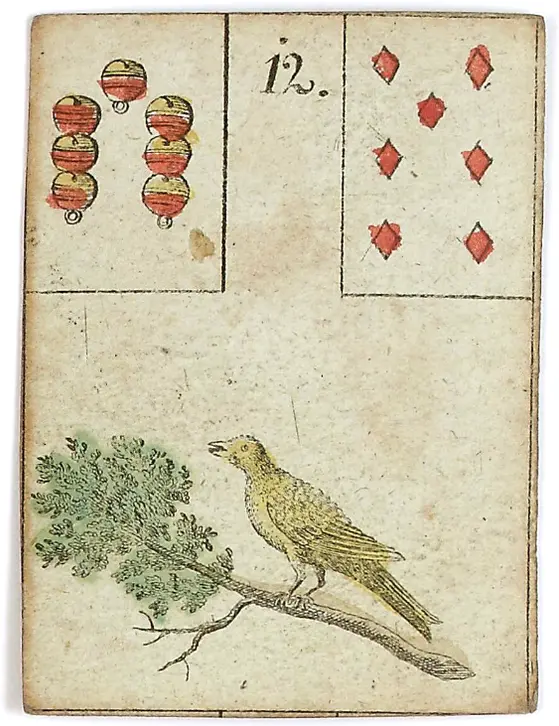 Bird