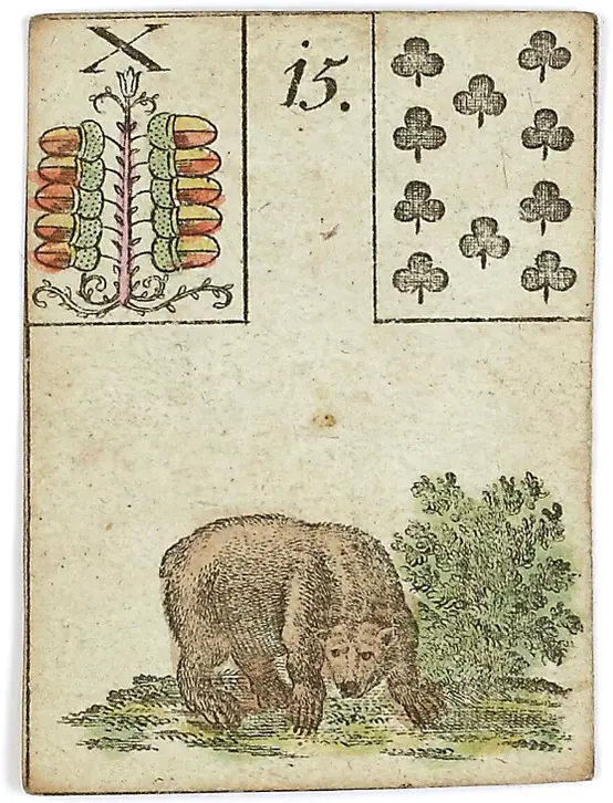Bear