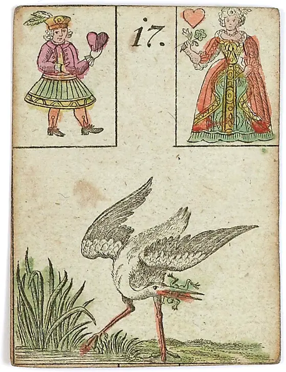 Stork