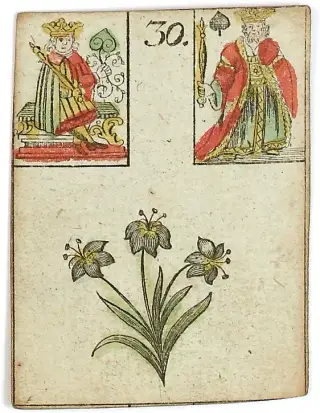 Lily, The Game of Hope