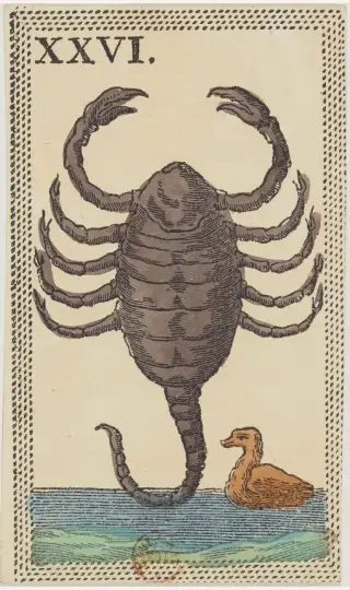 Lo Scorpione, The Minchiate Fiorentine