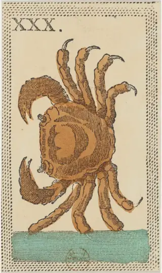 Il Cancro, The Minchiate Fiorentine