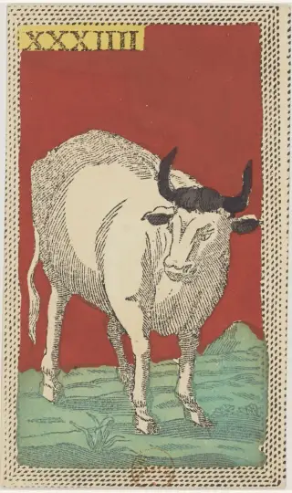 Il Toro, The Minchiate Fiorentine