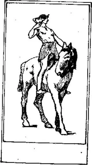 Cavalier de Coupe