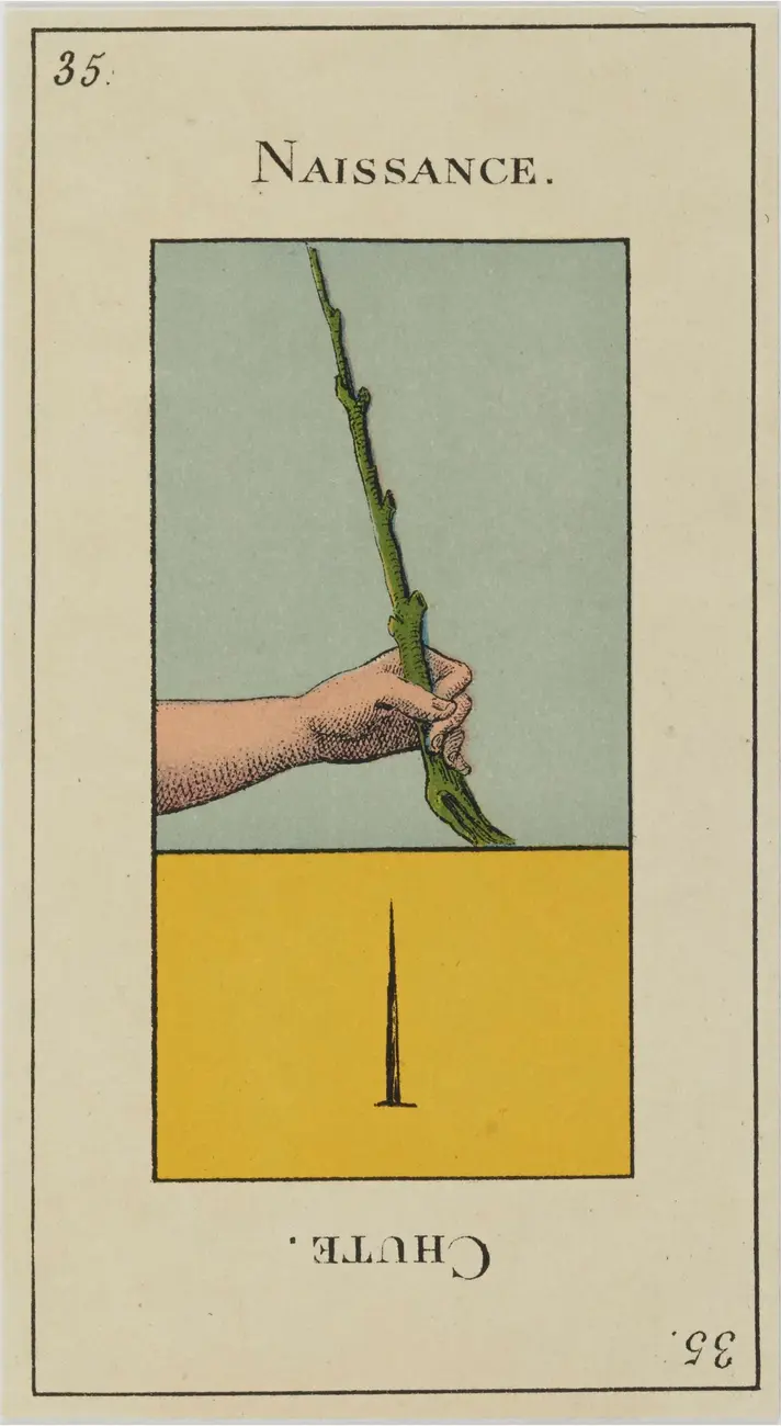 Naissance