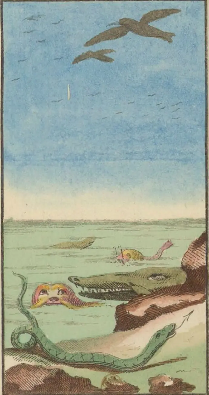 Les Oiseaux et les Poissons