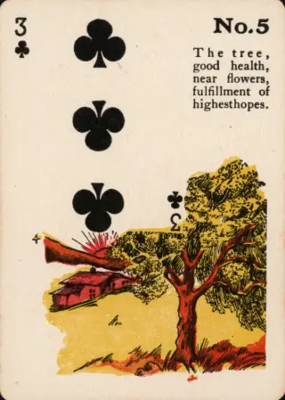 The Tree, The Gypsy Witch Cards