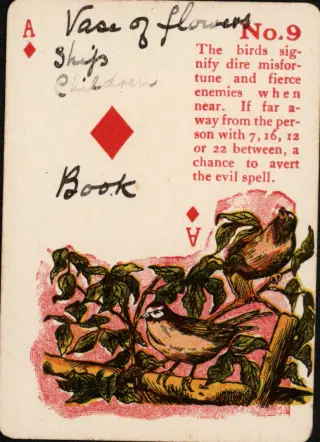The Birds, The Gypsy Witch Cards