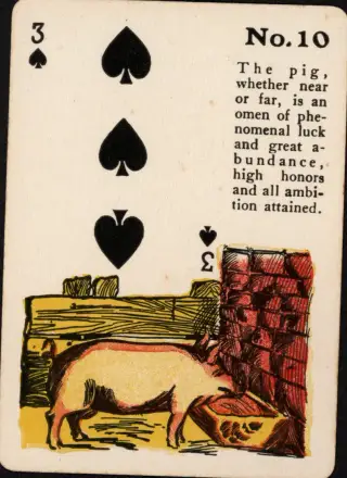 The Pig, The Gypsy Witch Cards
