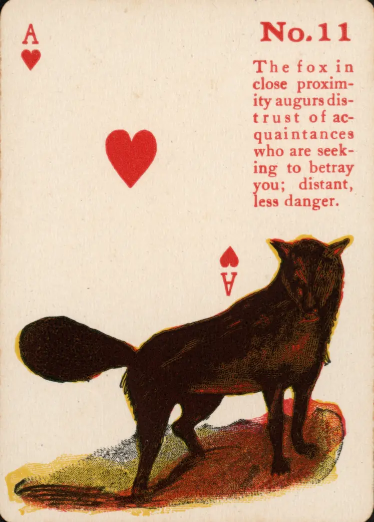 The Fox