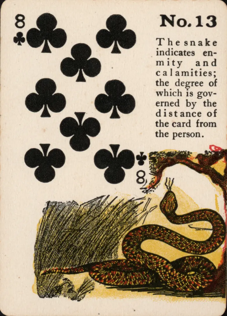 The Snake