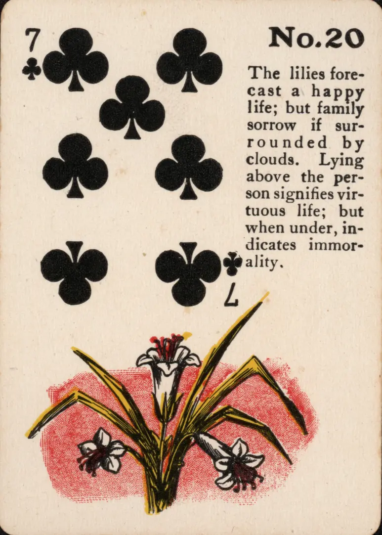 The Lilies