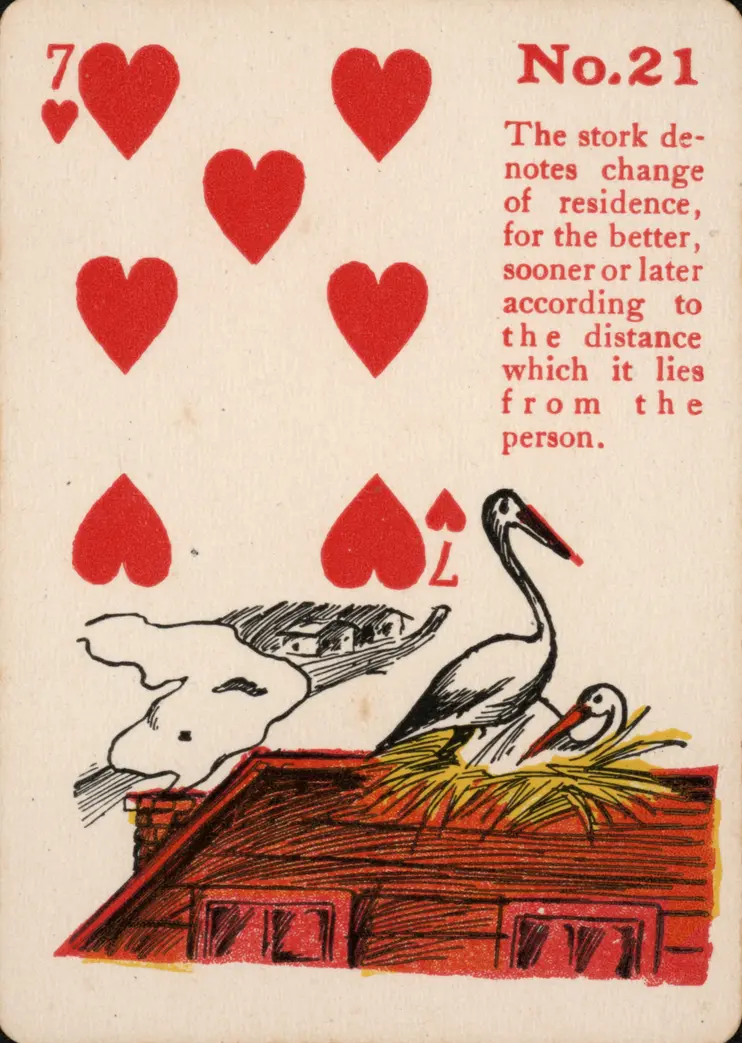 The Stork