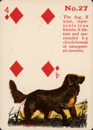 The Dog, The Gypsy Witch Cards