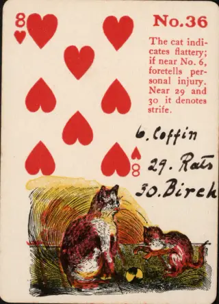 The Cat, The Gypsy Witch Cards