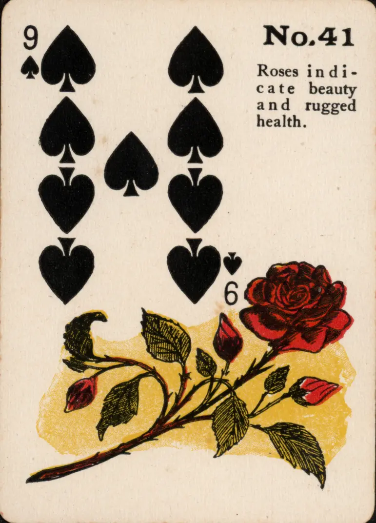 The Roses
