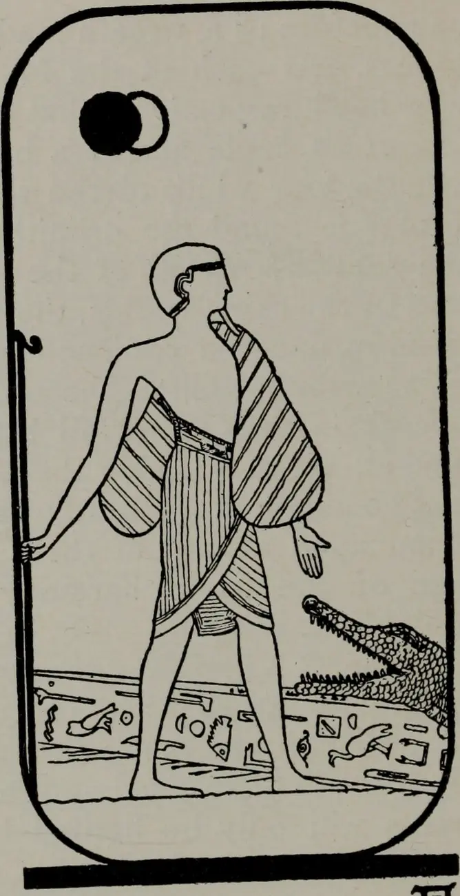 The Crocodile