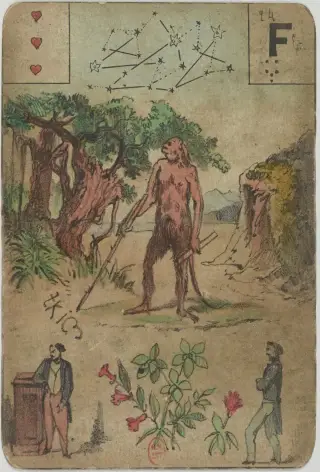 The Wild Man, The Grand Jeu de Mlle Lenormand