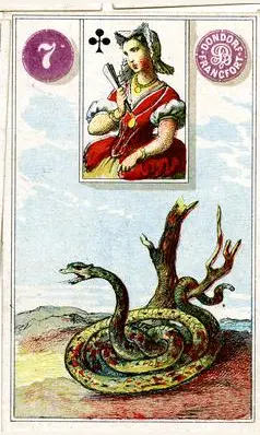 Snake