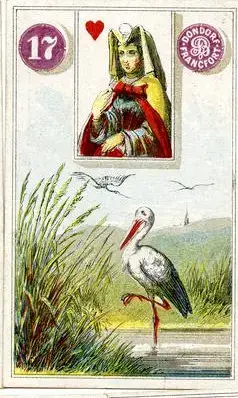 Stork, The Dondorf Lenormand
