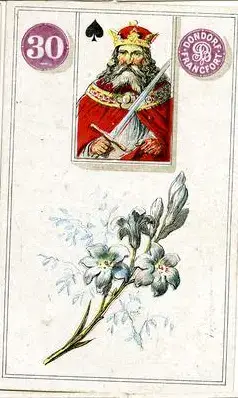 Lily, The Dondorf Lenormand